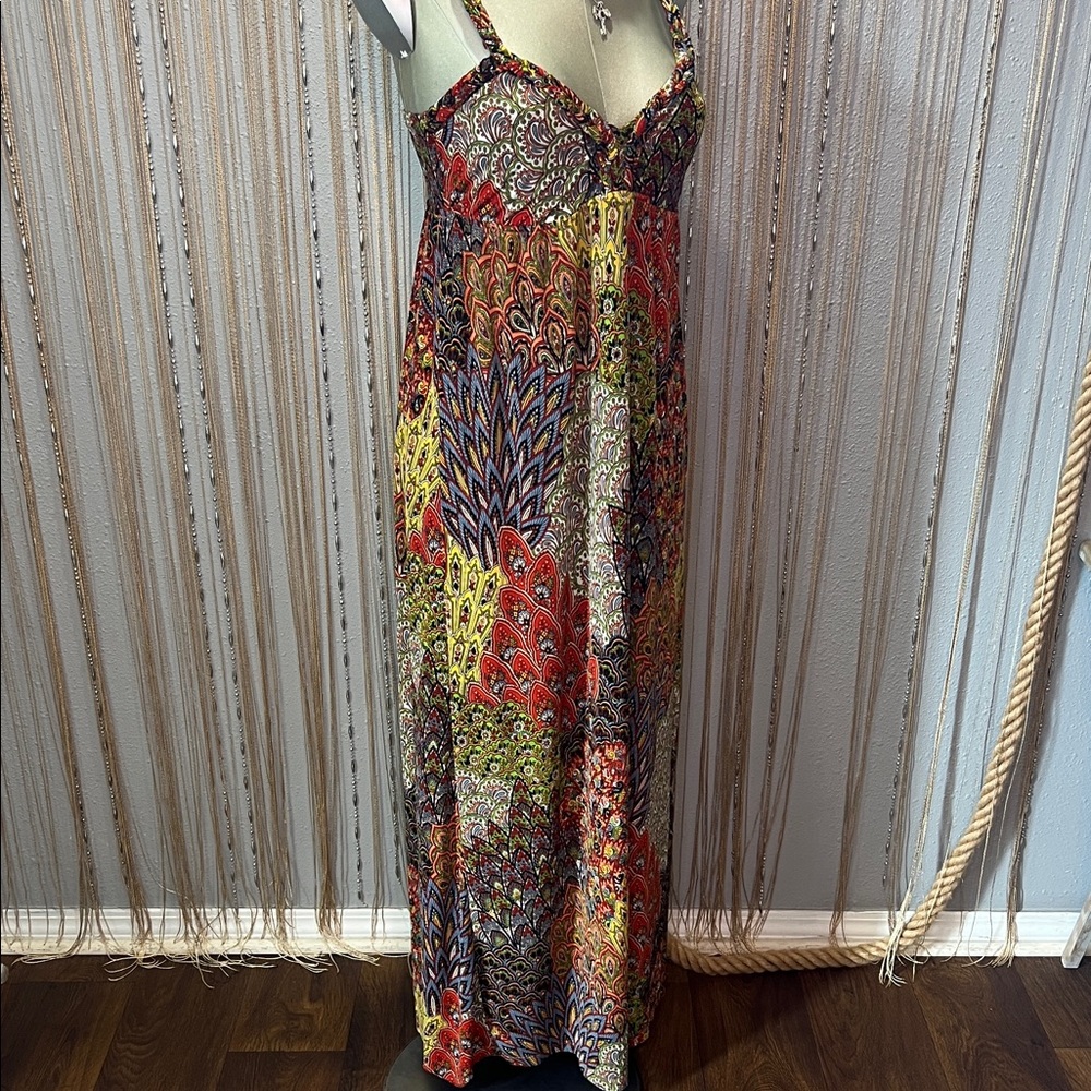 Diva Vibrant Paisley Maxi Dress